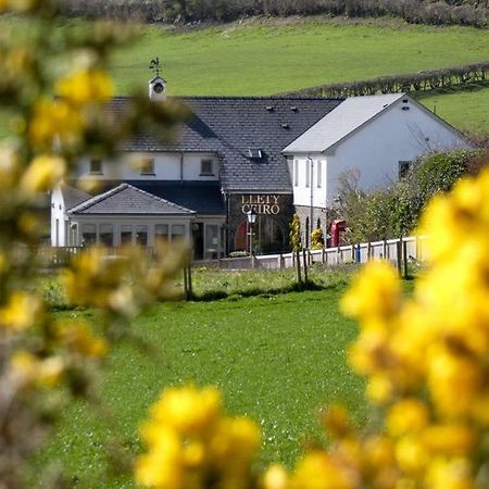 Llety Ceiro Guesthouse アベリストウィス エクステリア 写真
