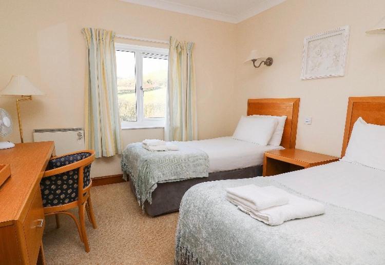 Llety Ceiro Guesthouse アベリストウィス エクステリア 写真