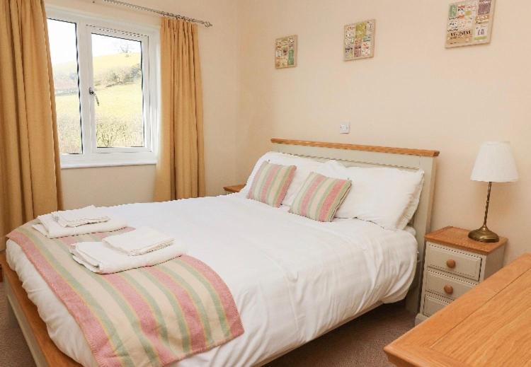 Llety Ceiro Guesthouse アベリストウィス エクステリア 写真
