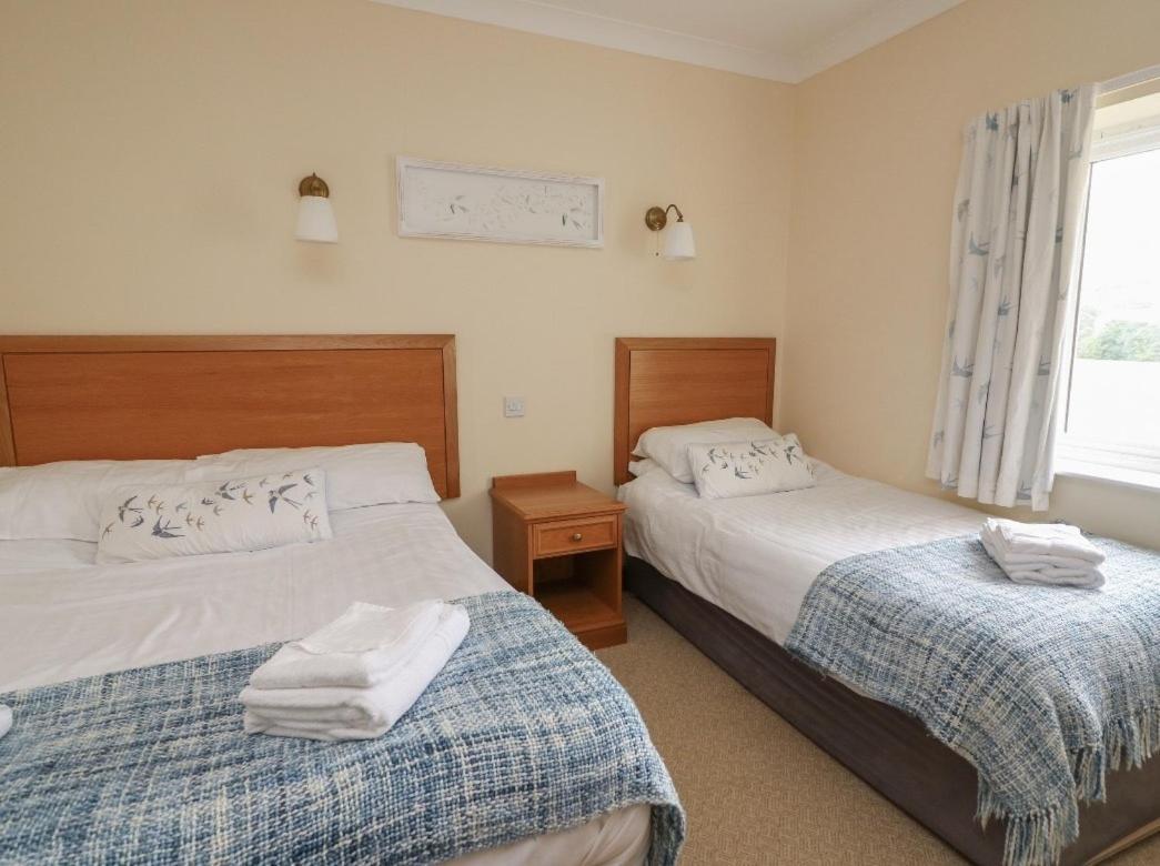 Llety Ceiro Guesthouse アベリストウィス エクステリア 写真