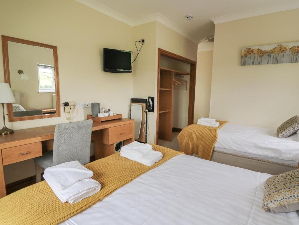 Llety Ceiro Guesthouse アベリストウィス エクステリア 写真
