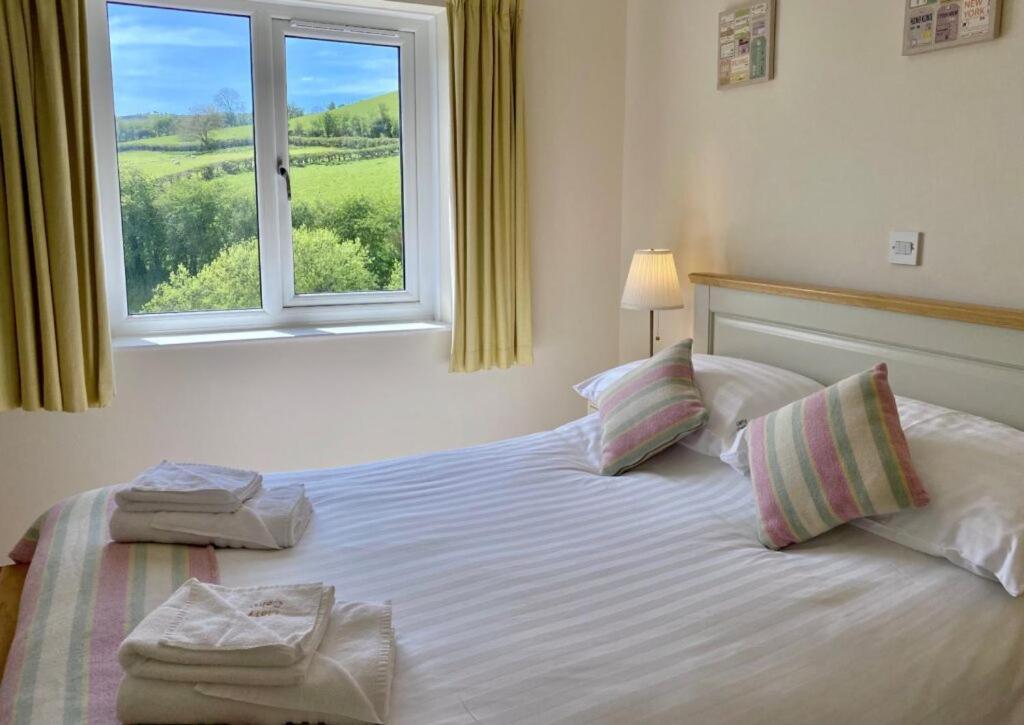 Llety Ceiro Guesthouse アベリストウィス エクステリア 写真