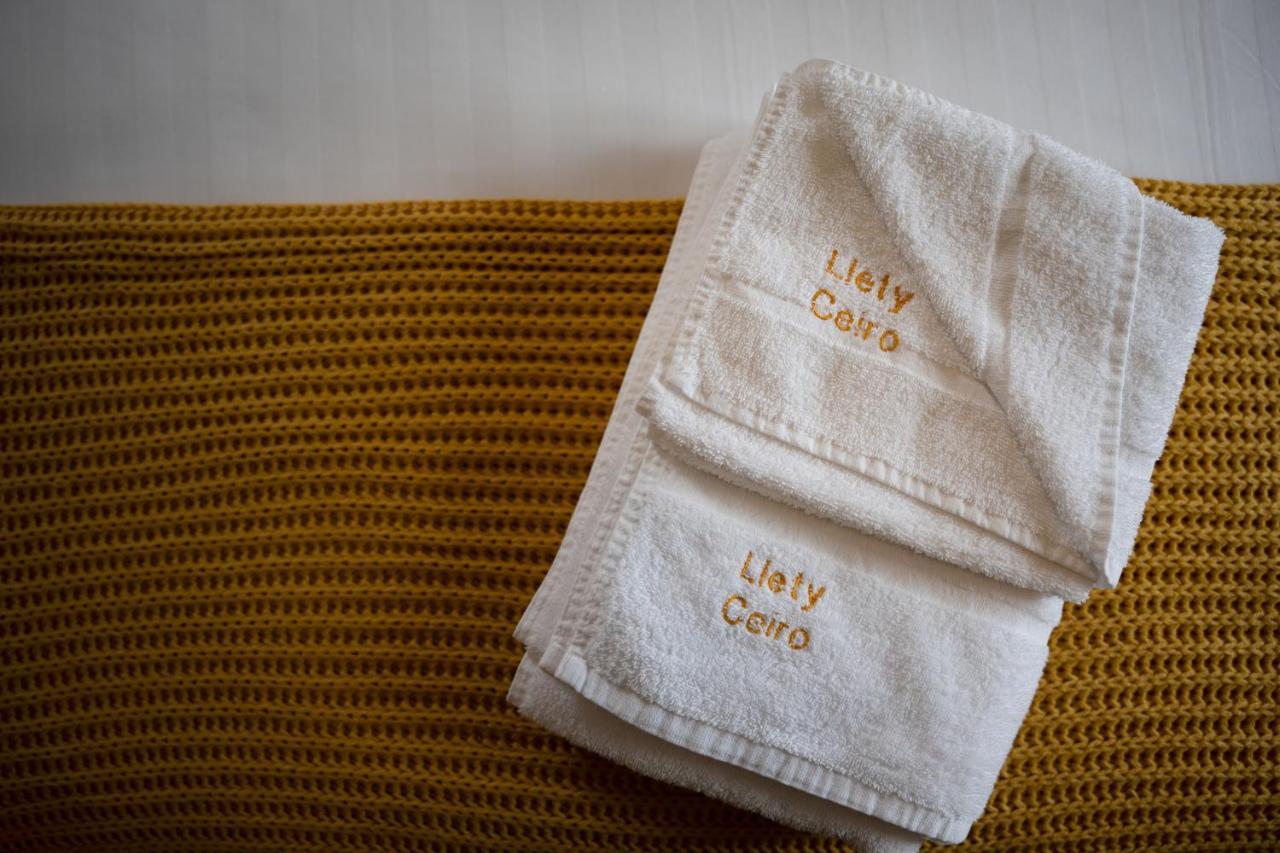 Llety Ceiro Guesthouse アベリストウィス エクステリア 写真