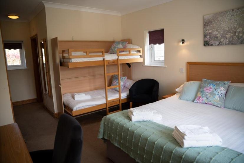 Llety Ceiro Guesthouse アベリストウィス エクステリア 写真