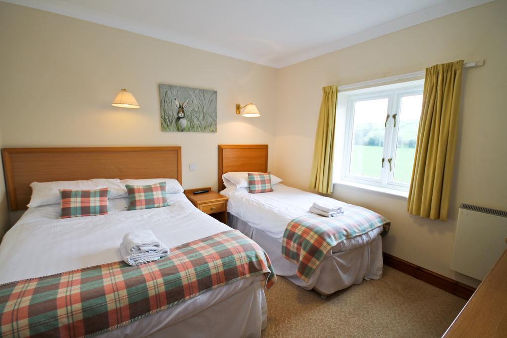 Llety Ceiro Guesthouse アベリストウィス エクステリア 写真