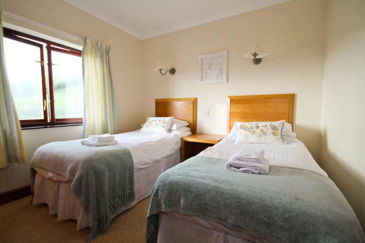 Llety Ceiro Guesthouse アベリストウィス エクステリア 写真